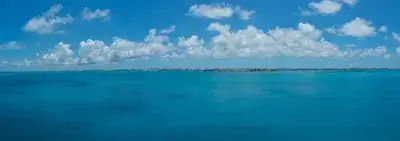 Bermuda (18)